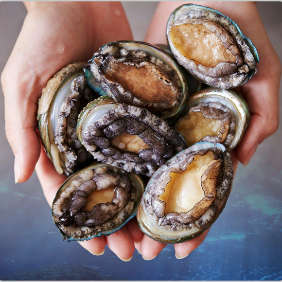 Sản phẩm test loại 2