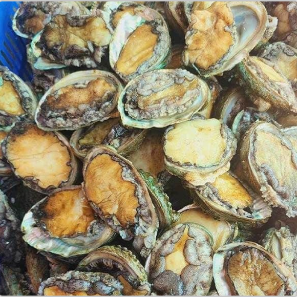 Sản phẩm test loại 2 (1) (1) (1)