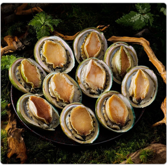 Sản phẩm test loại 2 (1) (1)