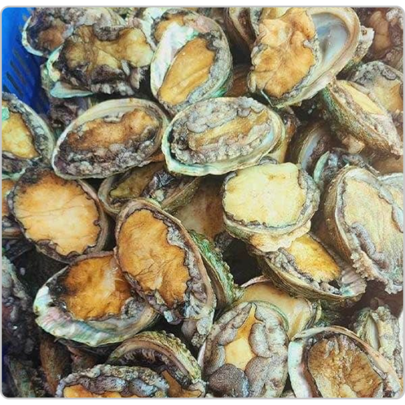 Sản phẩm test loại 2 (1) (1) (1)